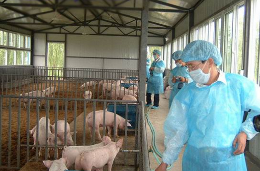 养猪场有害生物防治